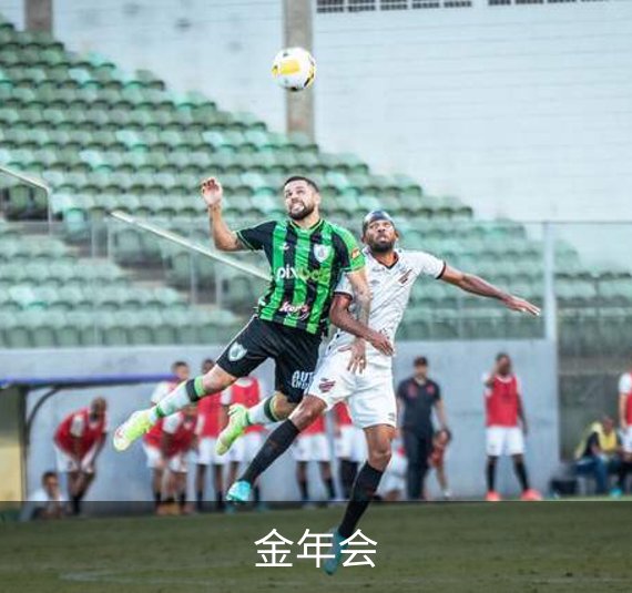 金年会简介